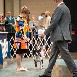 Meet your Posher, Courtenay